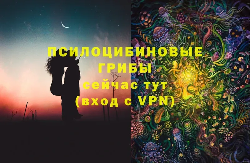 купить  сайты  Ефремов  Псилоцибиновые грибы Psilocybine cubensis 